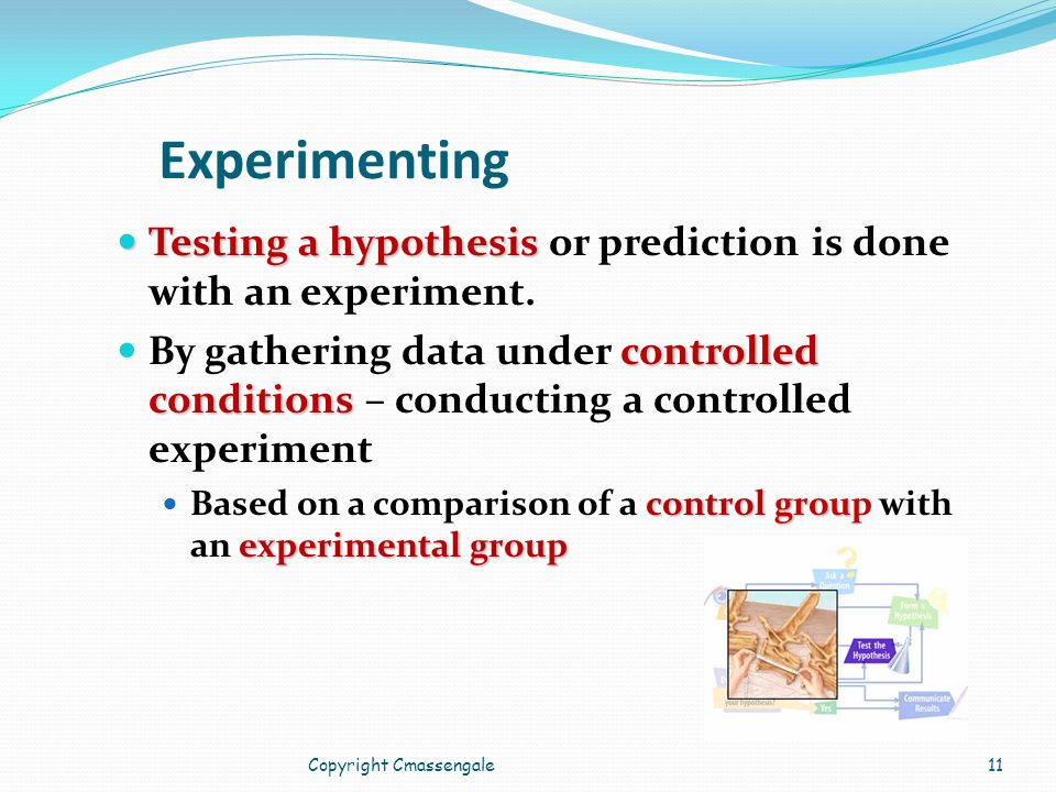 Copyright Cmassengale11 Experimenting Testing a hypothesis Testing a hypothesis or prediction is done with an experiment.