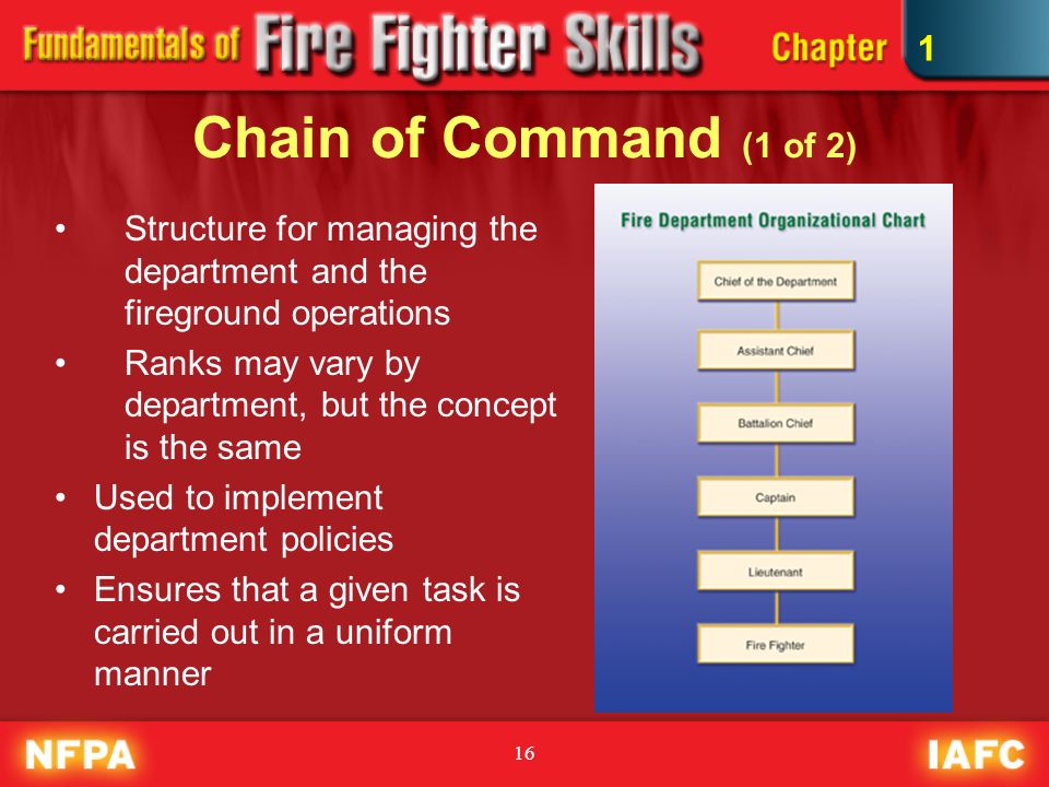 Fire Department Rank Structure Chart