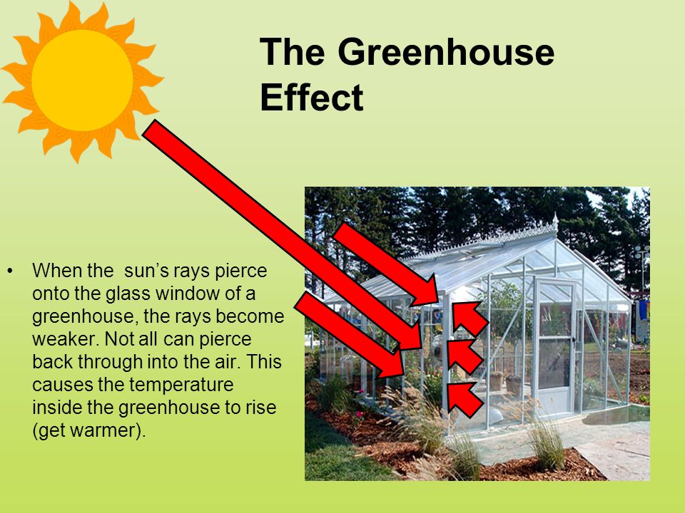 When the sun’s rays pierce onto the glass window of a greenhouse, the rays become weaker.