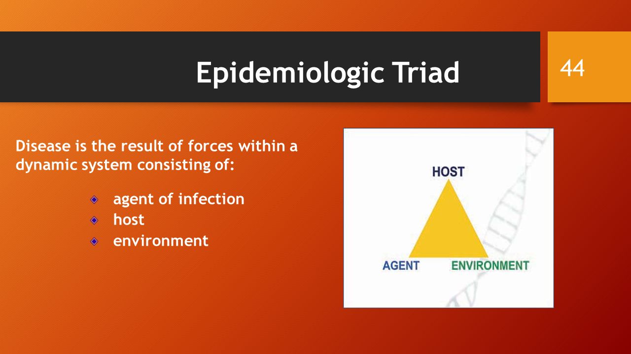 Disease is the result of forces within a dynamic system consisting of: agent of infection host environment Epidemiologic Triad 44