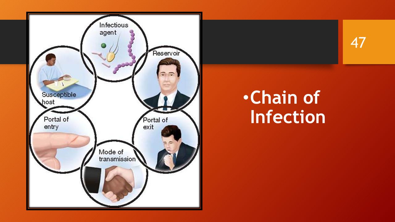 Chain of Infection 47