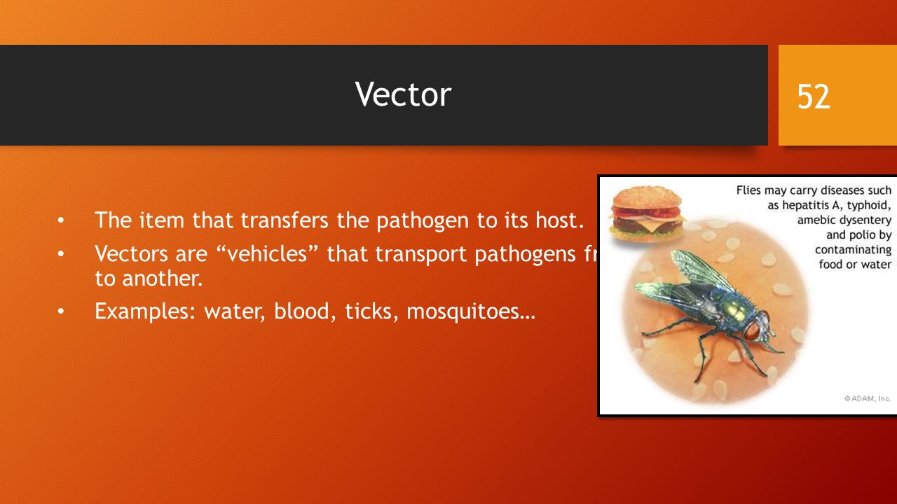Vector The item that transfers the pathogen to its host.