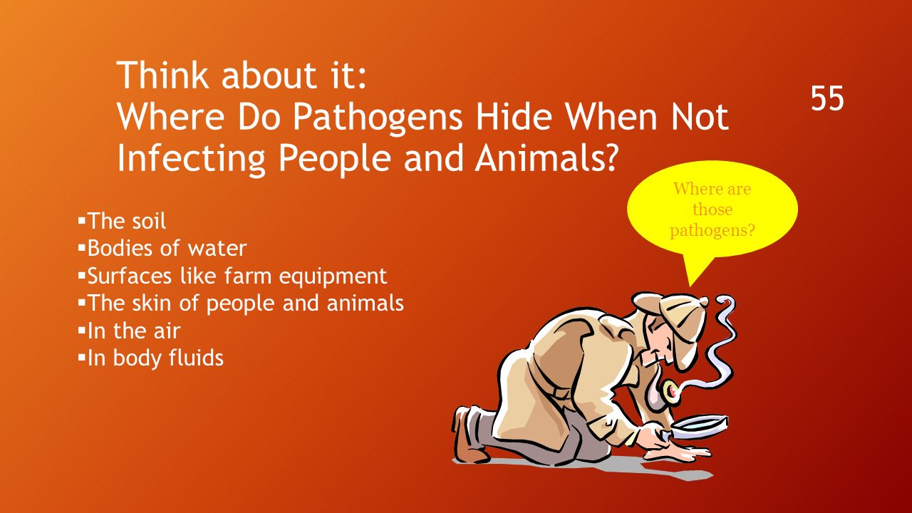 Think about it: Where Do Pathogens Hide When Not Infecting People and Animals.