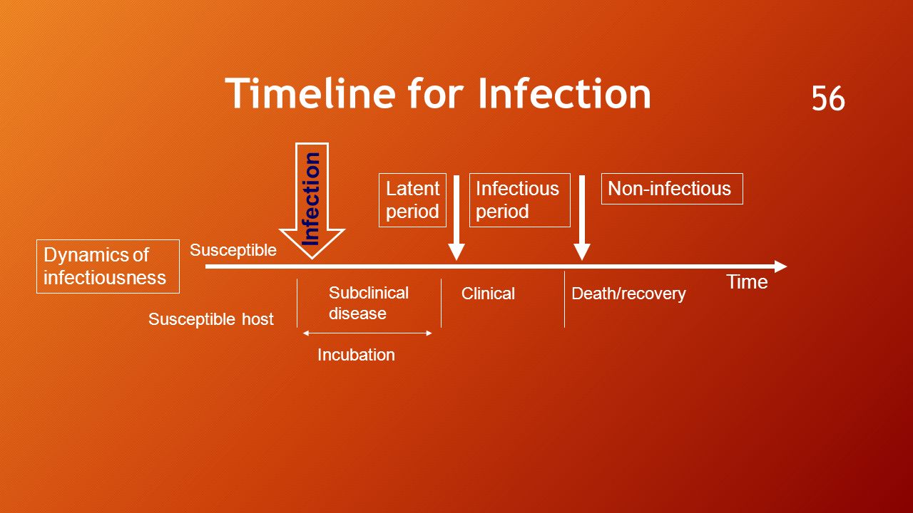 Susceptible Susceptible host Dynamics of infectiousness Latent period Infectious period Non-infectious Infection Time Timeline for Infection Subclinical disease Clinical Death/recovery Incubation 56