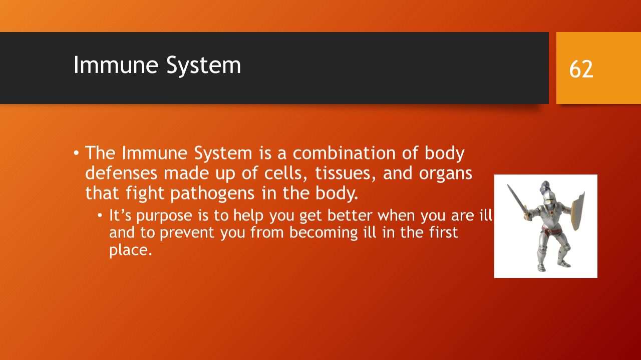 Immune System The Immune System is a combination of body defenses made up of cells, tissues, and organs that fight pathogens in the body.