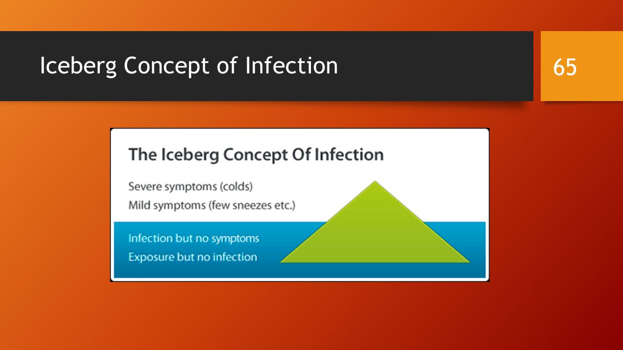 Iceberg Concept of Infection 65