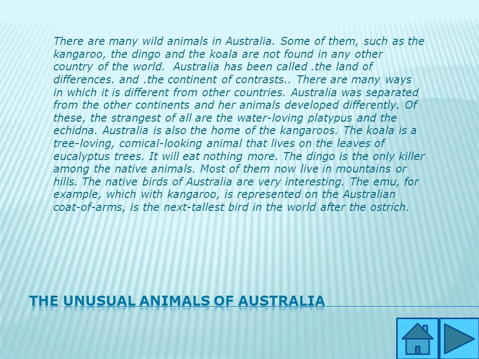 There are many wild animals in Australia.