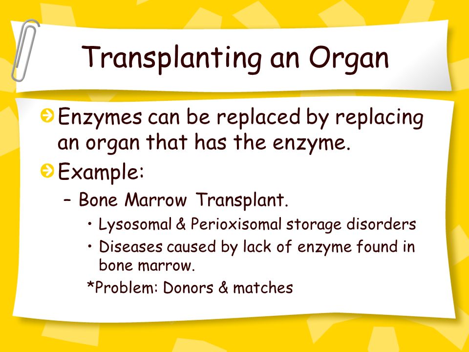 Transplanting an Organ Enzymes can be replaced by replacing an organ that has the enzyme.