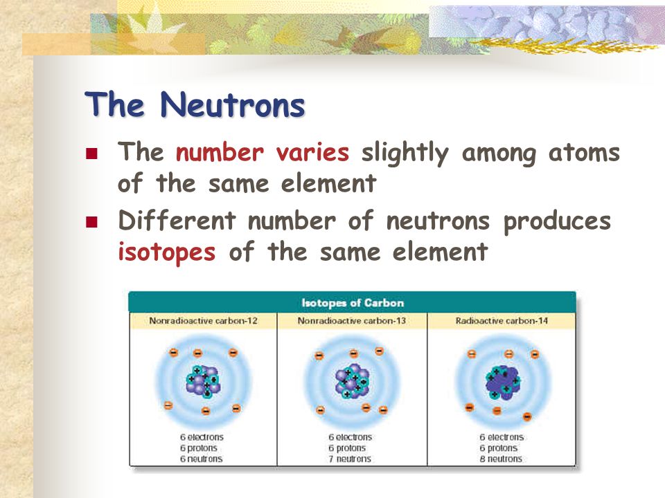 The Neutrons The number varies slightly among atoms of the same element Different number of neutrons produces isotopes of the same element
