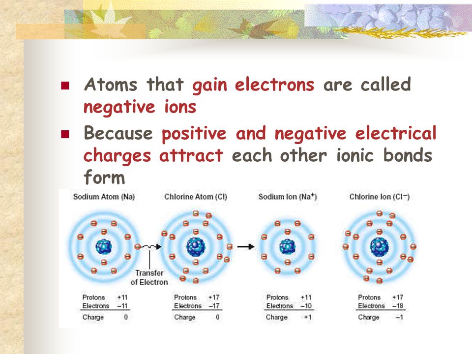 Atoms that gain electrons are called negative ions Because positive and negative electrical charges attract each other ionic bonds form