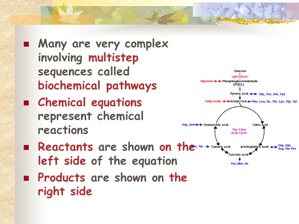 Many are very complex involving multistep sequences called biochemical pathways Chemical equations represent chemical reactions Reactants are shown on the left side of the equation Products are shown on the right side