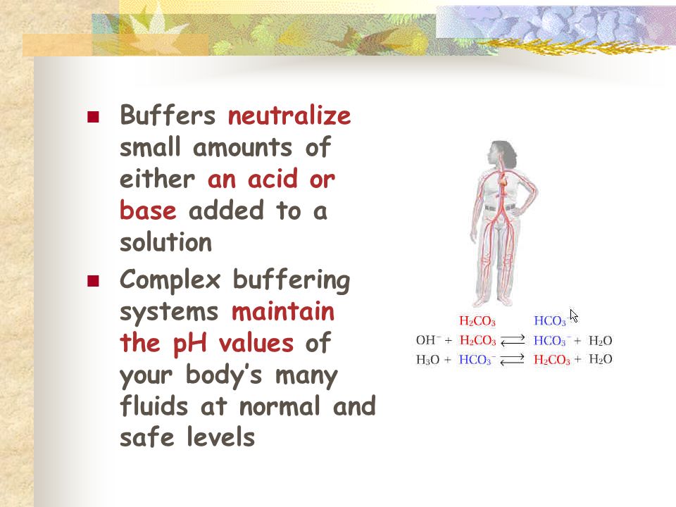 Buffers neutralize small amounts of either an acid or base added to a solution Complex buffering systems maintain the pH values of your body’s many fluids at normal and safe levels