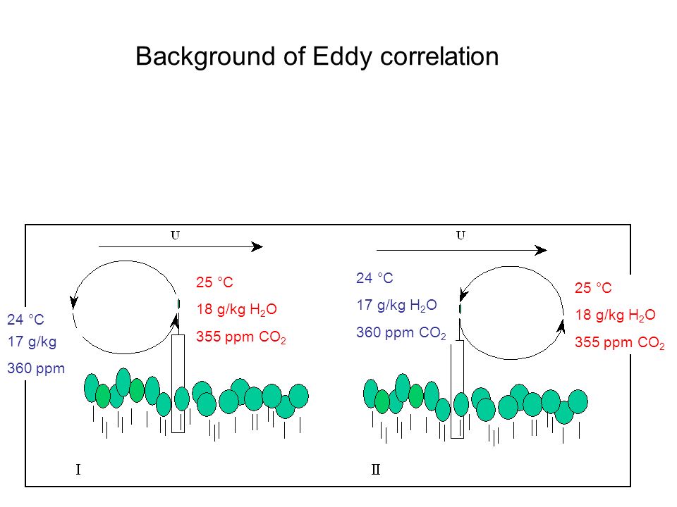 Background of Eddy correlation 25 °C 18 g/kg H 2 O 355 ppm CO 2 25 °C 18 g/kg H 2 O 355 ppm CO 2 24 °C 17 g/kg H 2 O 360 ppm CO 2 17 g/kg 360 ppm 24 °C