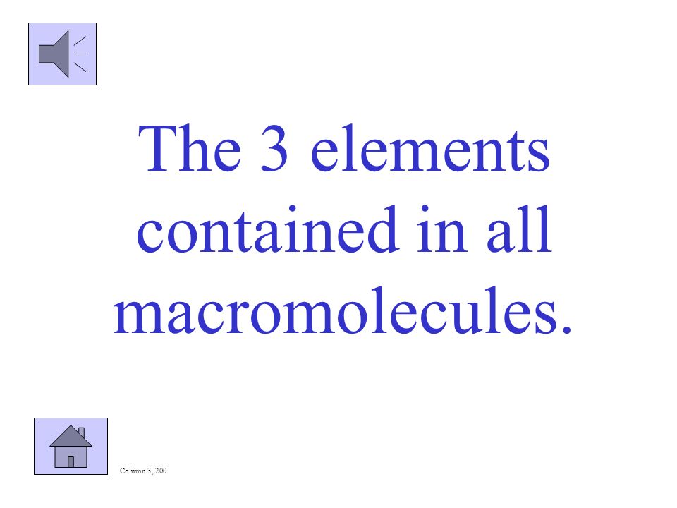 What are carbohydrates, proteins, nucleic acids and lipids Column 1, 300