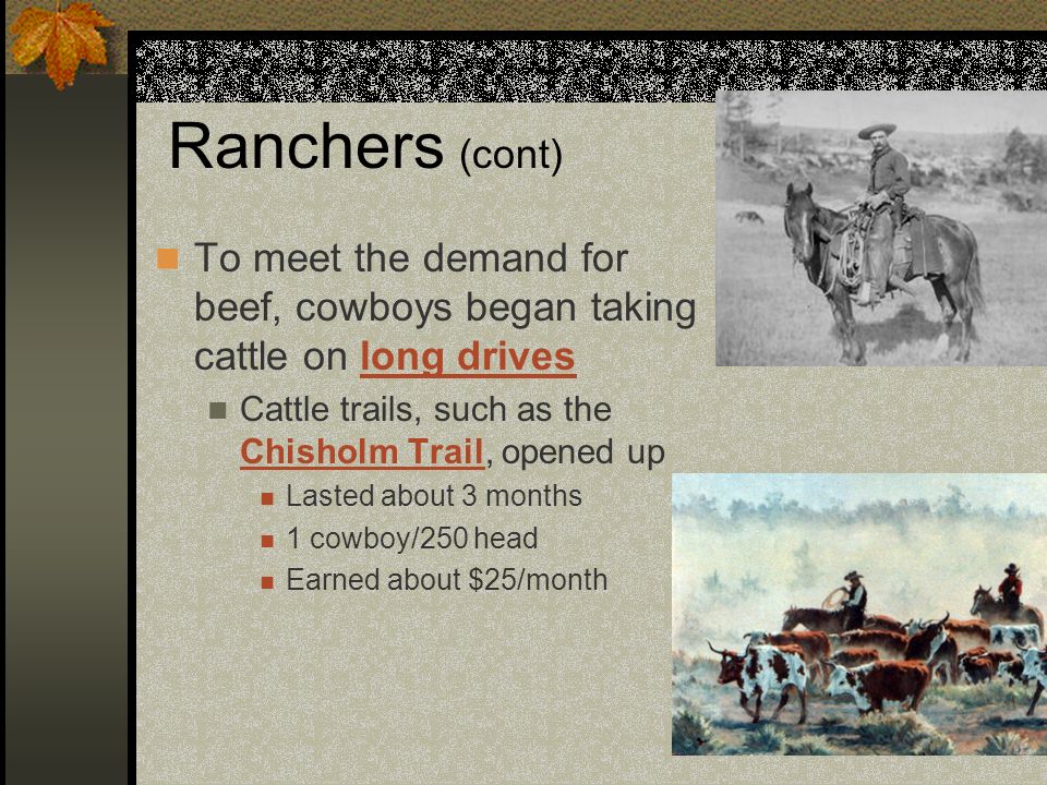 Ranchers (cont) To meet the demand for beef, cowboys began taking cattle on long drives Cattle trails, such as the Chisholm Trail, opened up Lasted about 3 months 1 cowboy/250 head Earned about $25/month
