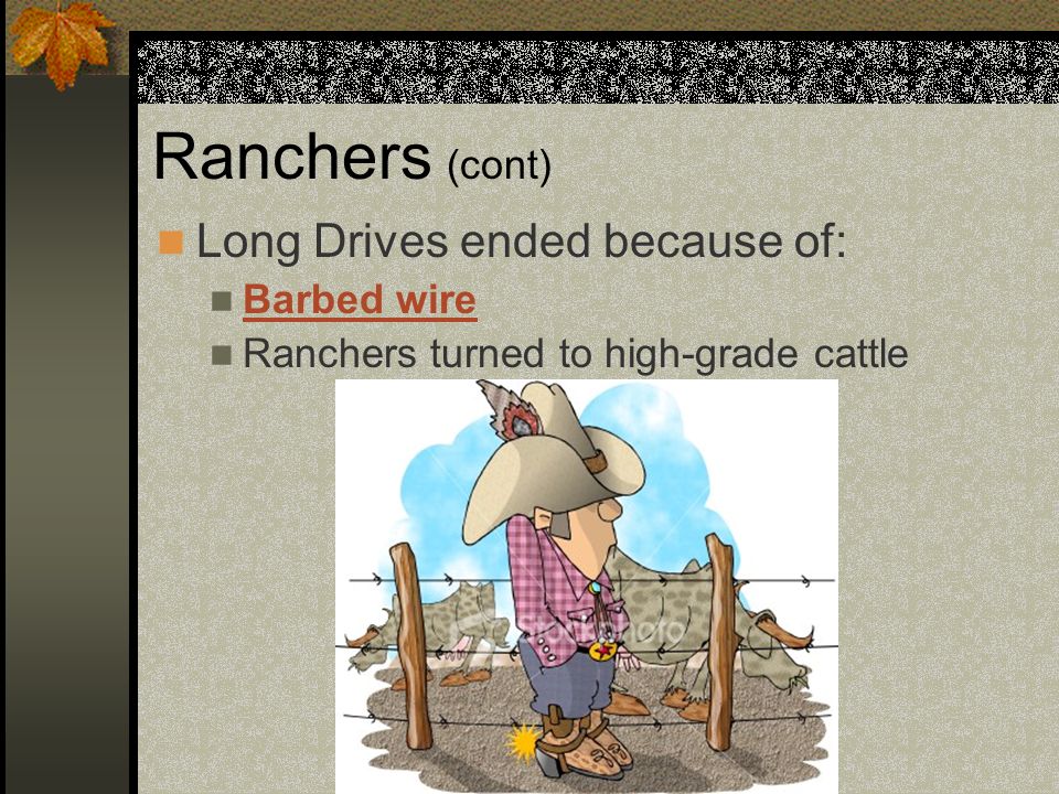 Ranchers (cont) Long Drives ended because of: Barbed wire Ranchers turned to high-grade cattle