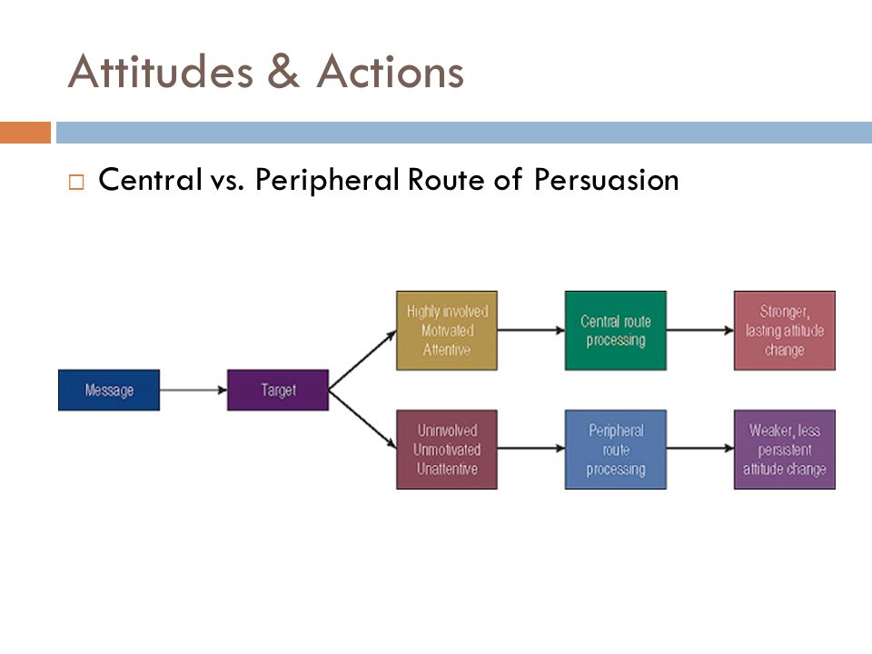 Central vs. Peripheral Route of Persuasion.