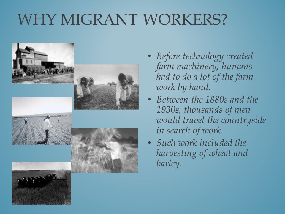 WHY MIGRANT WORKERS.