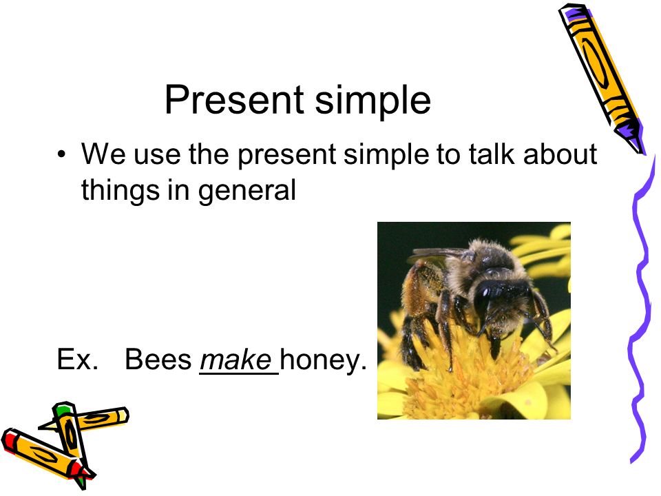 Present simple We use the present simple to talk about things in general Ex. Bees make honey.