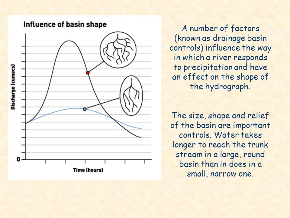 A number of factors (known as drainage basin controls) influence the way in which a river responds to precipitation and have an effect on the shape of the hydrograph.