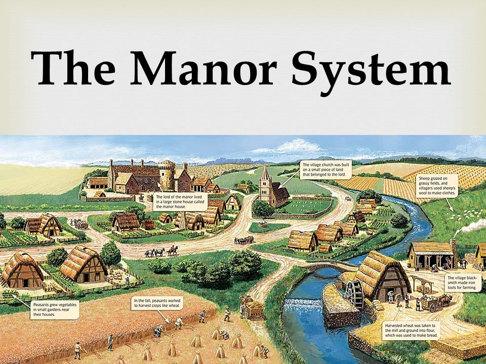 The Manor System