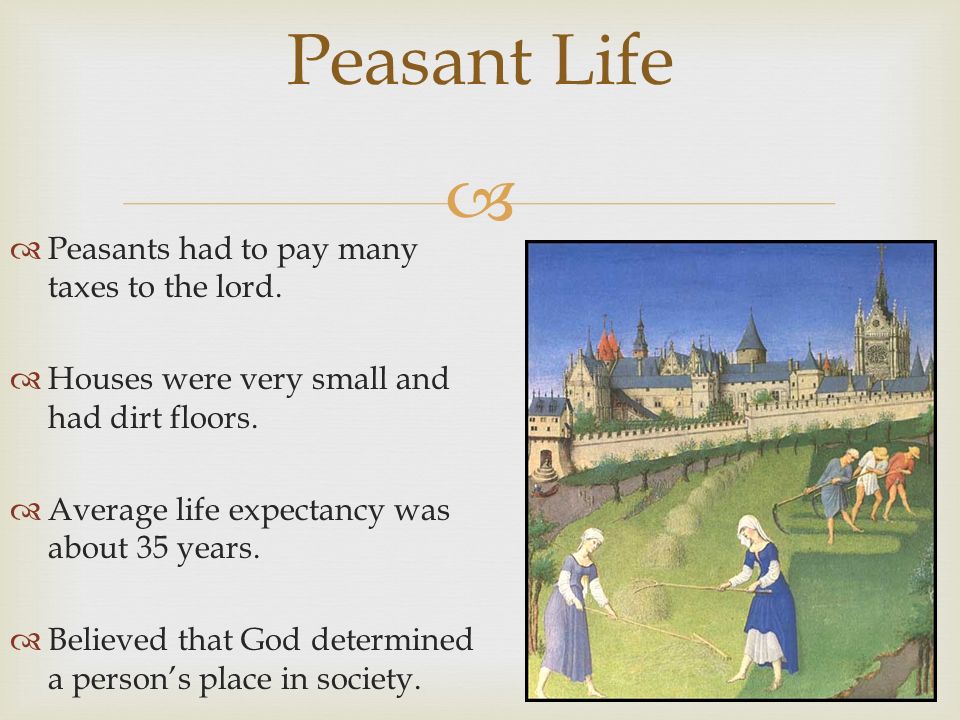  Peasant Life  Peasants had to pay many taxes to the lord.