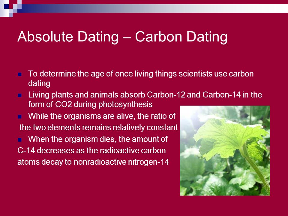 Qpids dating site How is carbon dating used to determine the age of once living organisms