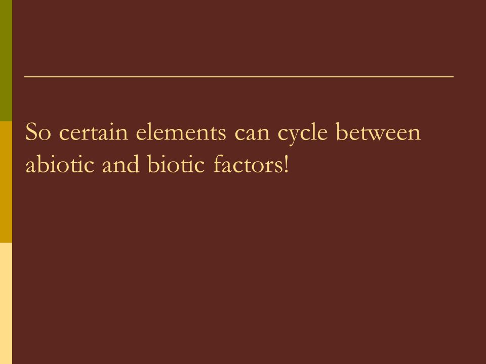 So certain elements can cycle between abiotic and biotic factors!