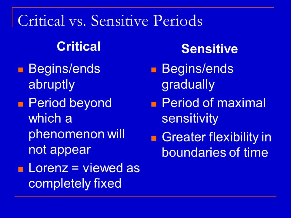 Cognitive Development Piaget Schemas action plans based on