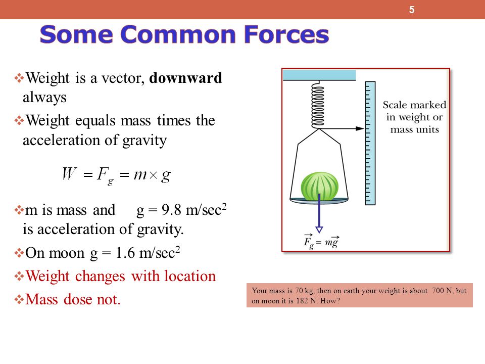  Weight is a vector, downward always  Weight equals mass times the acceleration of gravity  m is mass and g = 9.8 m/sec 2 is acceleration of gravity.