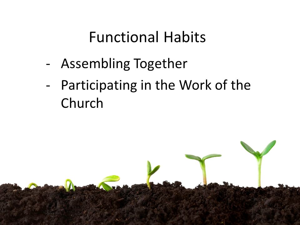 Functional Habits -Assembling Together -Participating in the Work of the Church