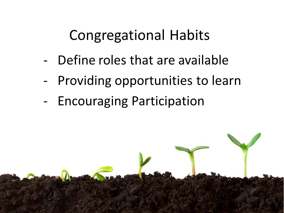 Congregational Habits -Define roles that are available -Providing opportunities to learn -Encouraging Participation