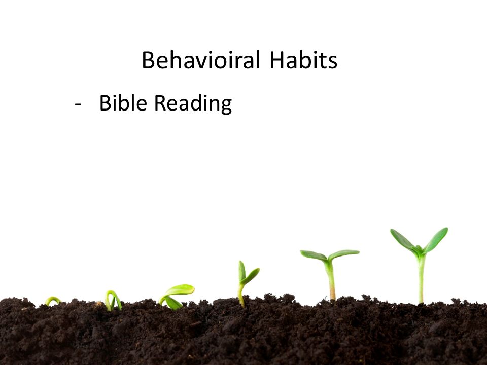 Behavioiral Habits -Bible Reading