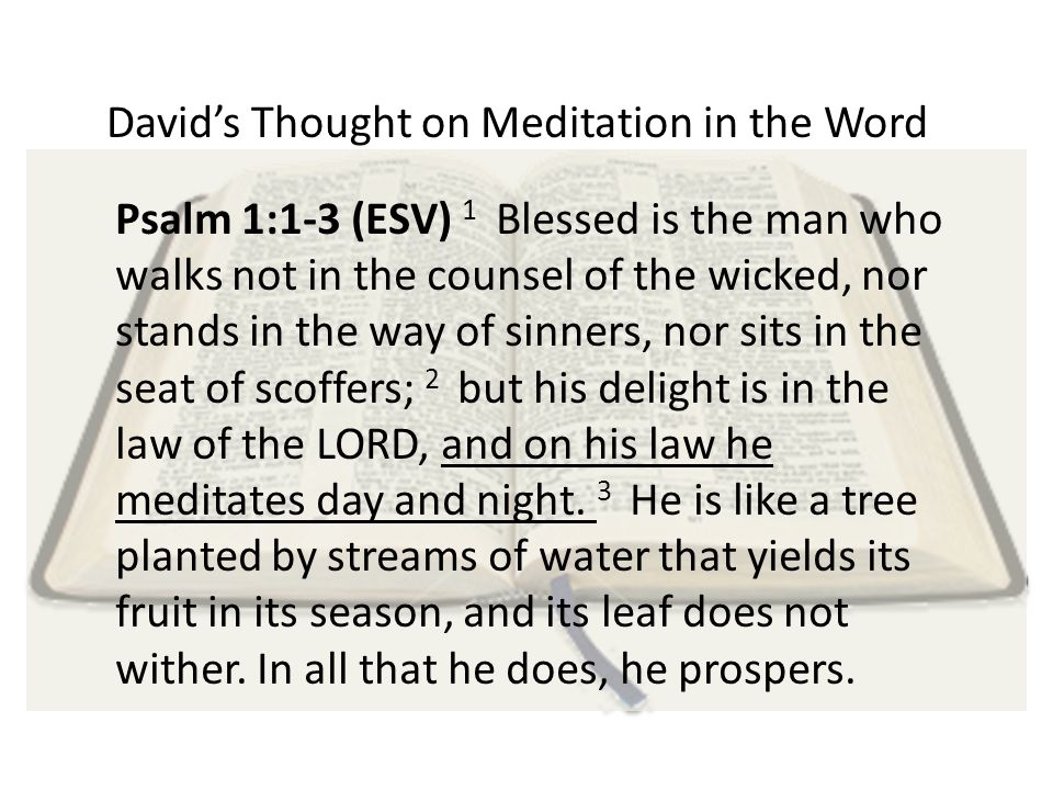 David’s Thought on Meditation in the Word Psalm 1:1-3 (ESV) 1 Blessed is the man who walks not in the counsel of the wicked, nor stands in the way of sinners, nor sits in the seat of scoffers; 2 but his delight is in the law of the LORD, and on his law he meditates day and night.