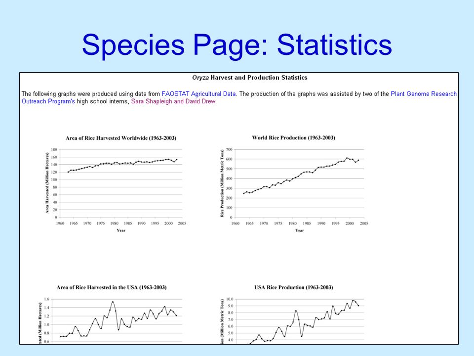 Species Page: Statistics