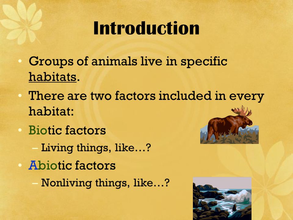 Ecology …the Study Of How Organisms Interact With Each Other And Their ...