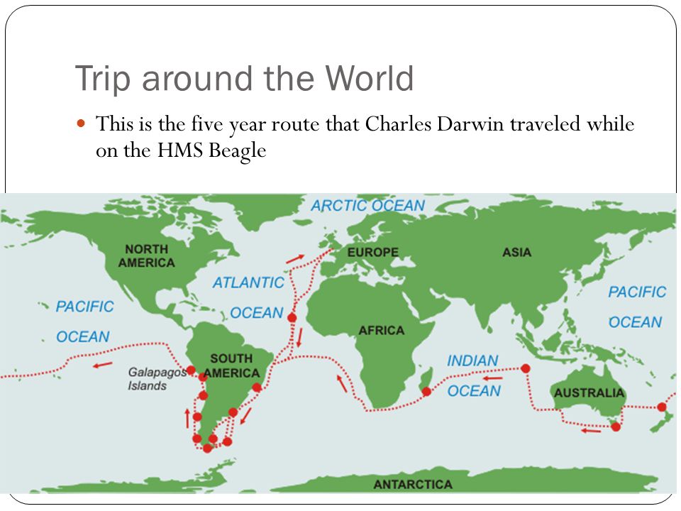 Trip around the World Charles Darwin. Trip Around the World In December  1831, the British ship HMS Beagle set sail from England on a five-year trip  around. - ppt download