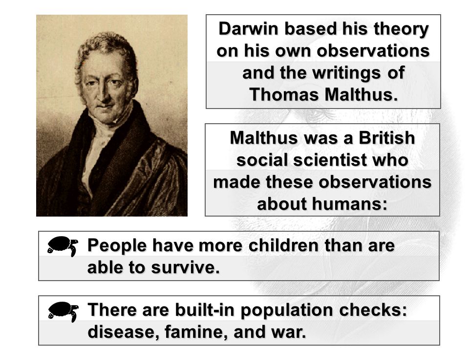 Malthus was a British social scientist who made these observations about humans: People have more children than are able to survive.