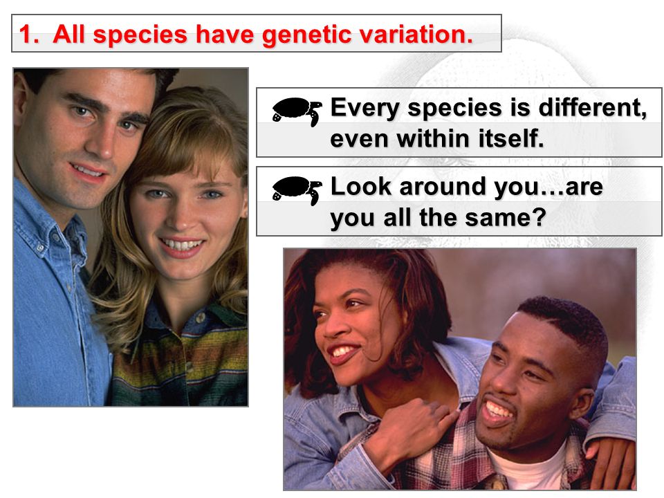 1. All species have genetic variation. Every species is different, even within itself.