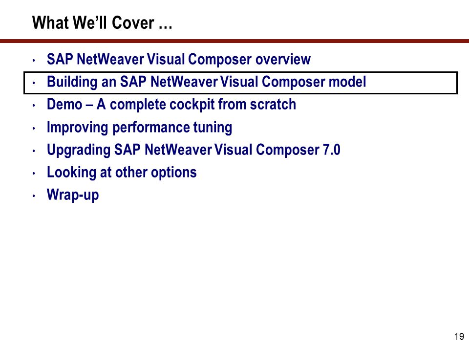 19 What We’ll Cover … SAP NetWeaver Visual Composer overview Building an SAP NetWeaver Visual Composer model Demo – A complete cockpit from scratch Improving performance tuning Upgrading SAP NetWeaver Visual Composer 7.0 Looking at other options Wrap-up