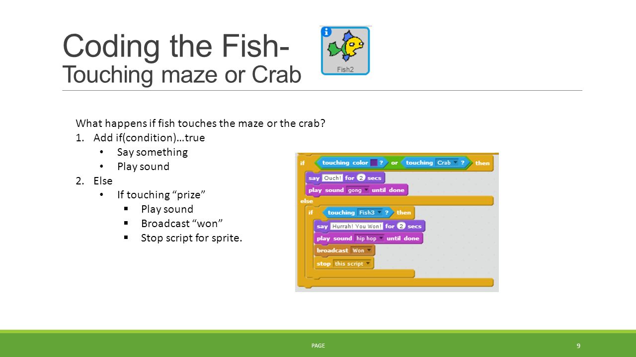 Coding the Fish- Touching maze or Crab PAGE 9 What happens if fish touches the maze or the crab.