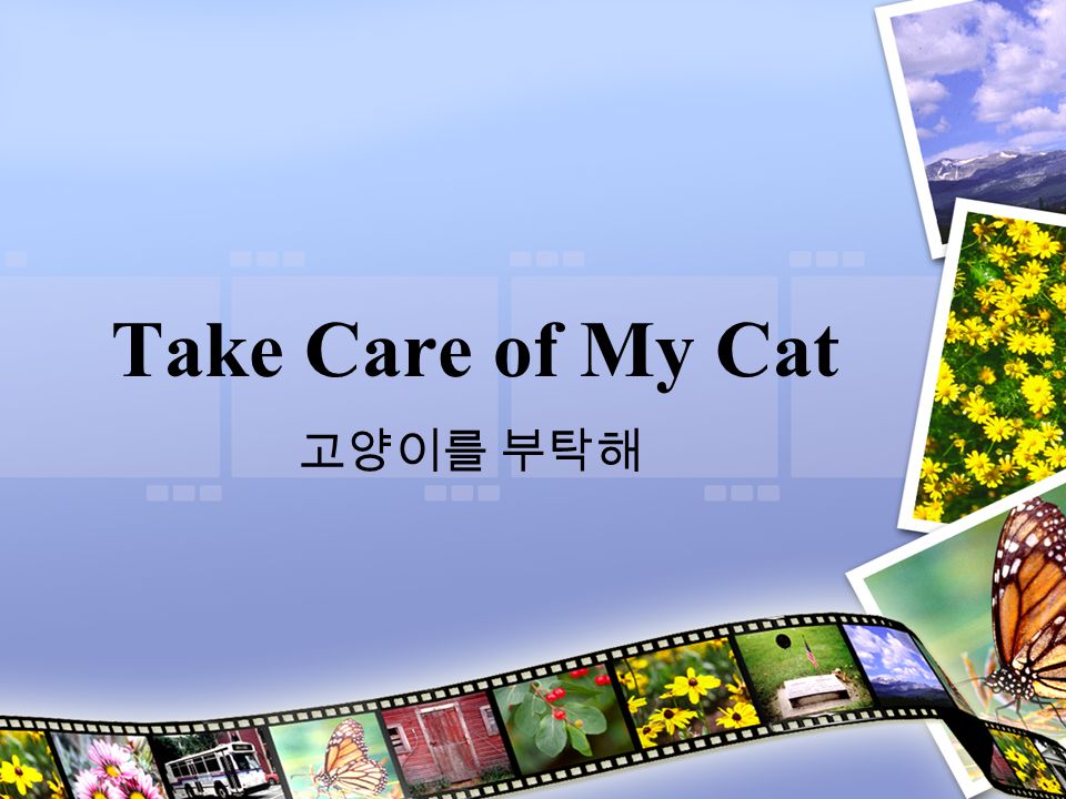 Take Care Of My Cat Korean Movie Download Take Care of My Cat 고양이를 부탁해. Details Released: 2001 Director: Jeong