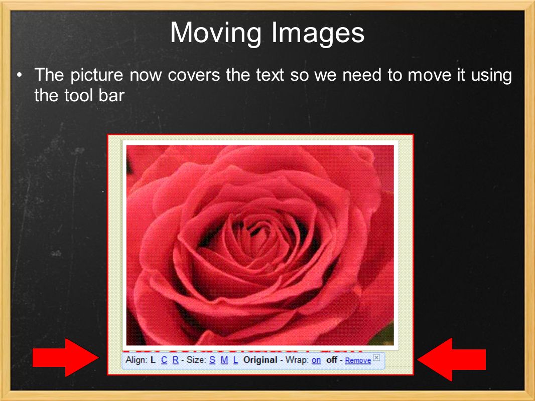 Moving Images The picture now covers the text so we need to move it using the tool bar