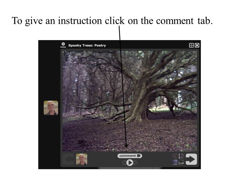 To give an instruction click on the comment tab.