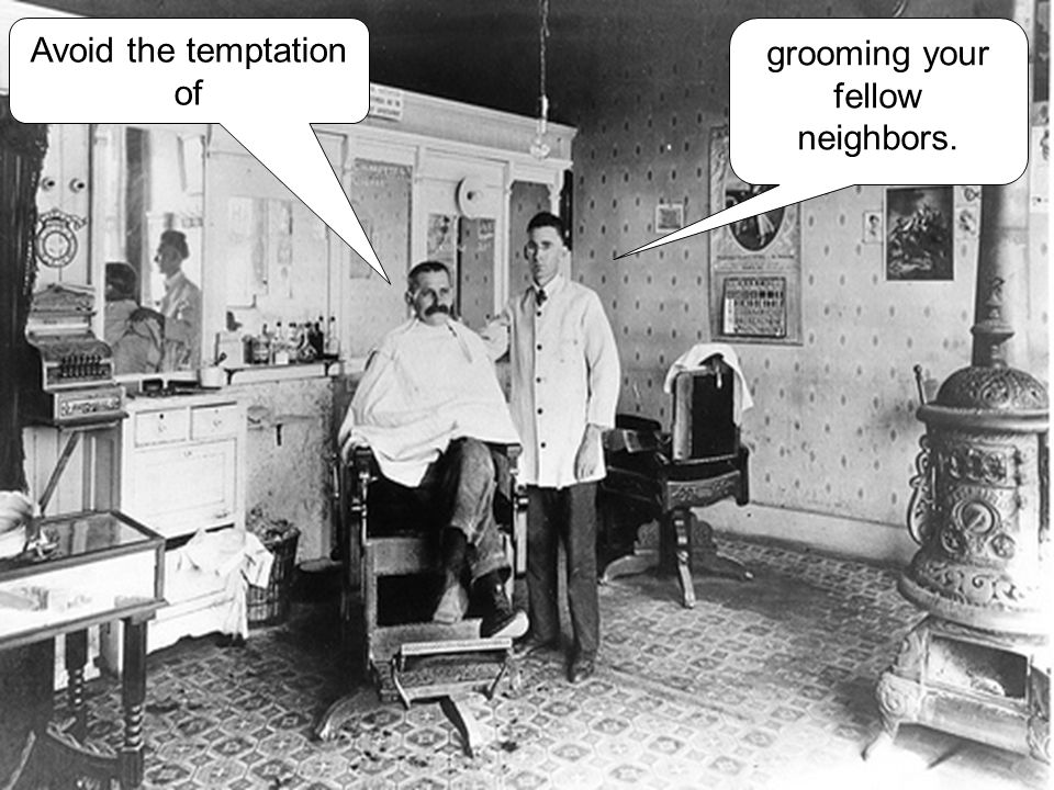 grooming your fellow neighbors. Avoid the temptation of