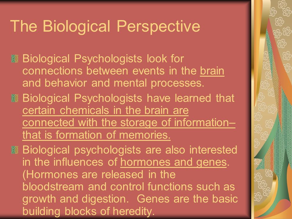 The Biological Perspective Biological Psychologists look for connections between events in the brain and behavior and mental processes.