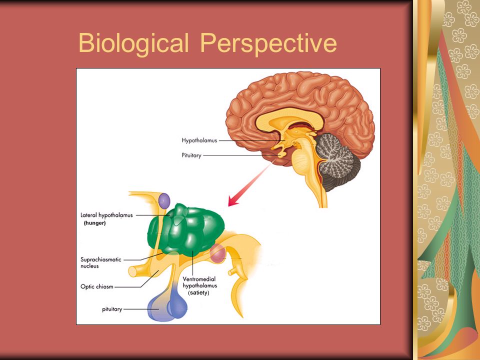 Biological Perspective