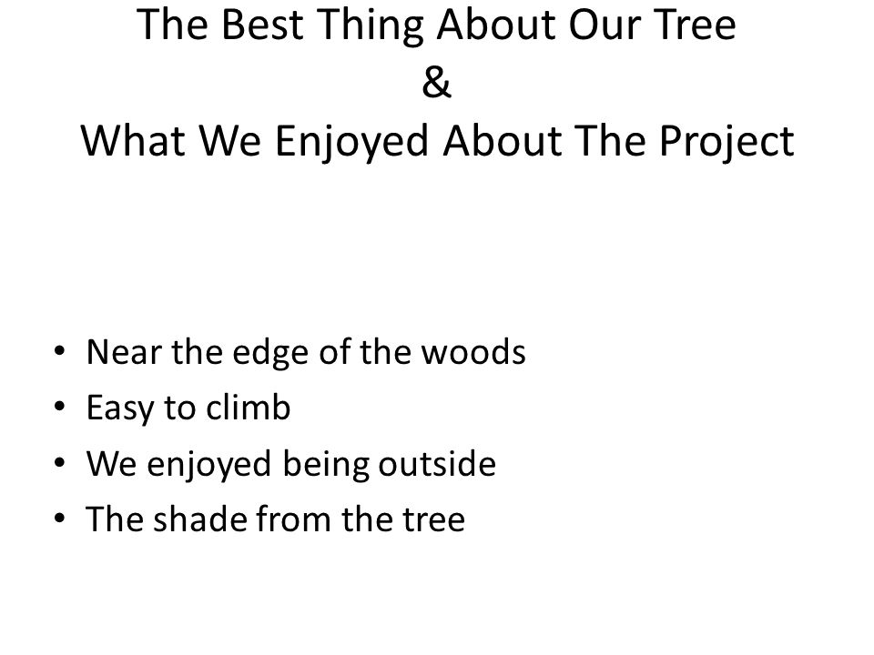 The Best Thing About Our Tree & What We Enjoyed About The Project Near the edge of the woods Easy to climb We enjoyed being outside The shade from the tree