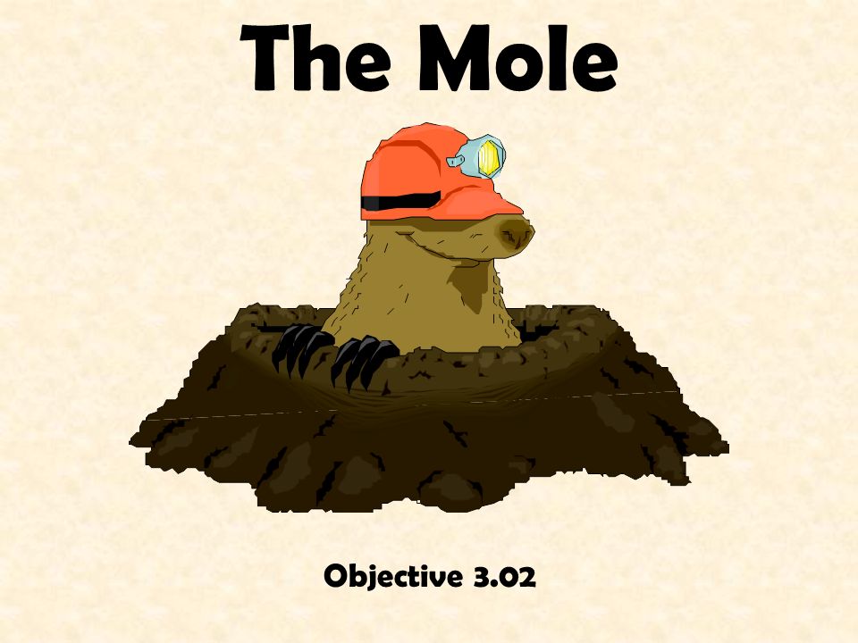 The Mole Objective 3.02