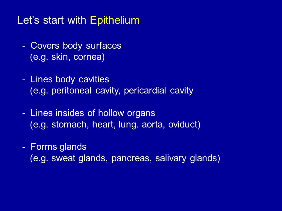 Let’s start with Epithelium - Covers body surfaces (e.g.